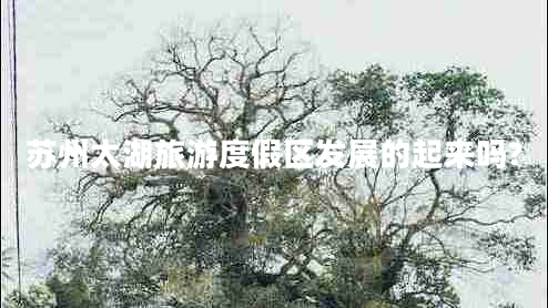 蘇州太湖旅游度假區(qū)發(fā)展的起來(lái)嗎?