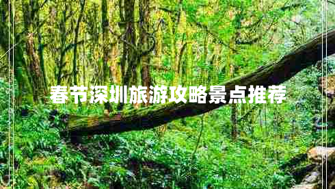 春節(jié)深圳旅游攻略景點(diǎn)推薦