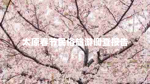 太原春節(jié)民俗旅游調(diào)查報告