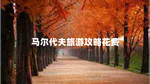 馬爾代夫旅游攻略花費(fèi)