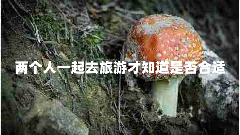 兩個人一起去旅游才知道是否合適