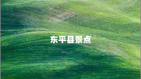 東平縣景點