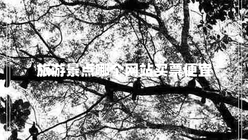 旅游景點(diǎn)哪個(gè)網(wǎng)站買票便宜