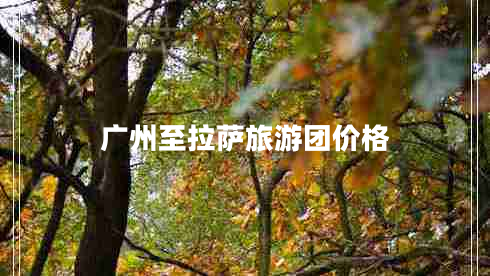 廣州至拉薩旅游團(tuán)價(jià)格