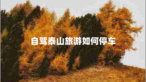 自駕泰山旅游如何停車