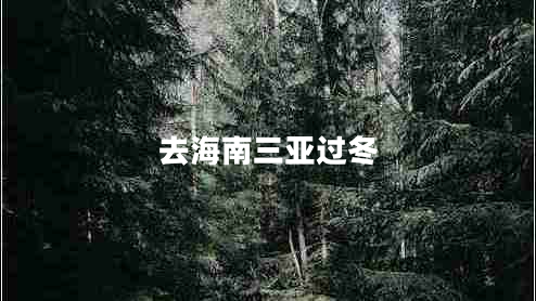 去海南三亞過冬