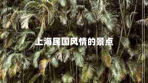 上海民國(guó)風(fēng)情的景點(diǎn)