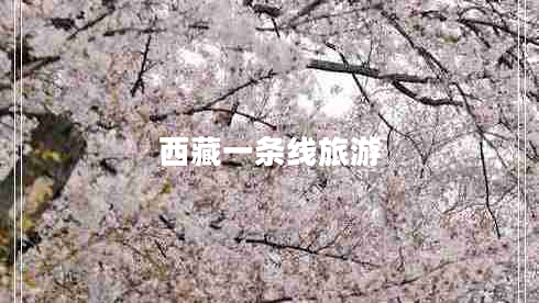 西藏一條線旅游