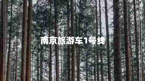 南京旅游車1號線