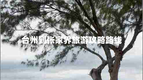 臺(tái)州到張家界旅游攻略路線(xiàn)
