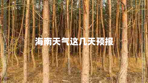 海南天氣這幾天預(yù)報(bào)
