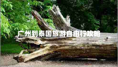 廣州到泰國(guó)旅游自由行攻略