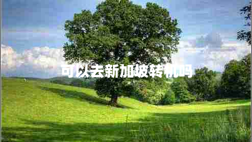 可以去新加坡轉(zhuǎn)機(jī)嗎