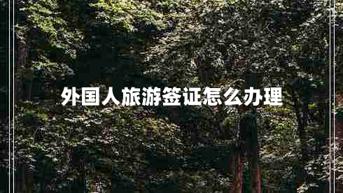外國(guó)人旅游簽證怎么辦理
