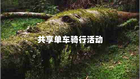 共享單車騎行活動