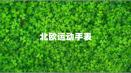北歐運(yùn)動(dòng)手表