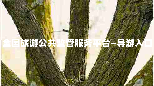 全國旅游公共監(jiān)管服務平臺—導游入口