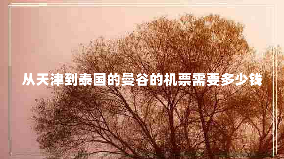 從天津到泰國的曼谷的機(jī)票需要多少錢