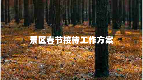 景區(qū)春節(jié)接待工作方案