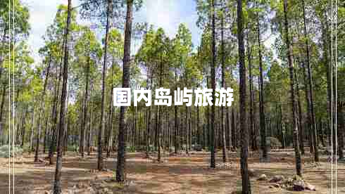 國內(nèi)島嶼旅游