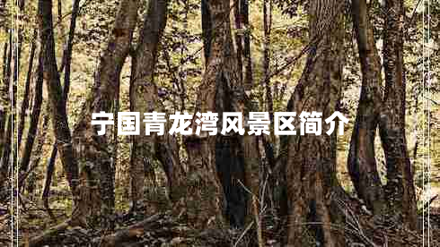 寧國青龍灣風景區(qū)簡介