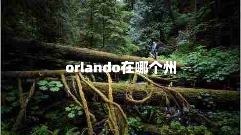 orlando在哪個州