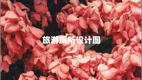 旅游廁所設(shè)計圖