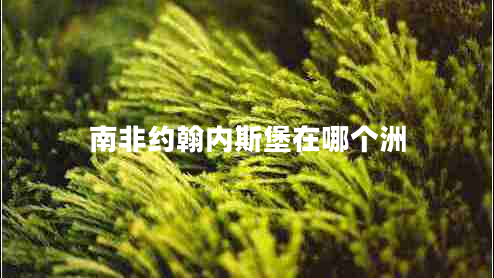 南非約翰內(nèi)斯堡在哪個(gè)洲