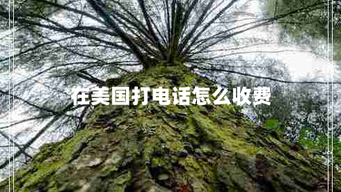 在美國(guó)打電話怎么收費(fèi)