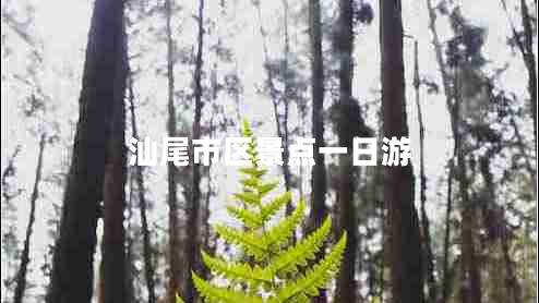 汕尾市區(qū)景點(diǎn)一日游