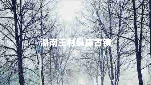 湖南王村懸崖古鎮(zhèn)