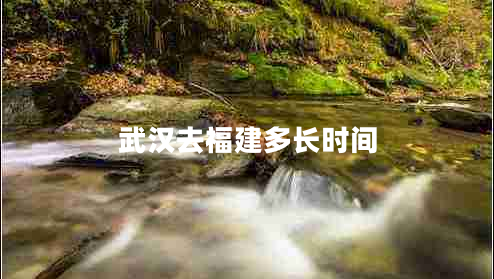 武漢去福建多長時間
