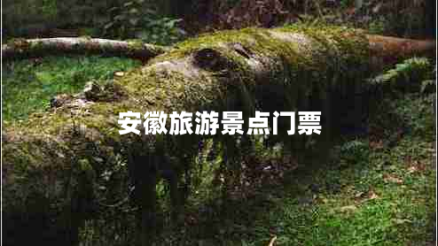 安徽旅游景點門票