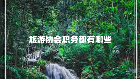 旅游協(xié)會職務都有哪些