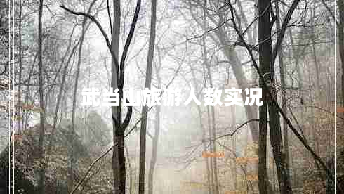 武當(dāng)山旅游人數(shù)實(shí)況