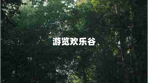 游覽歡樂(lè)谷