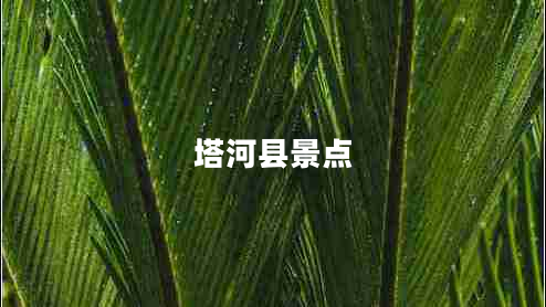 塔河縣景點