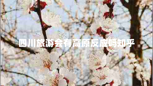 四川旅游會(huì)有高原反應(yīng)嗎知乎