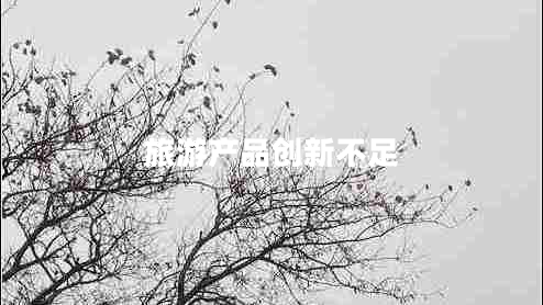 旅游產品創(chuàng)新不足
