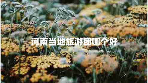 河南當(dāng)?shù)芈糜螆F哪個好