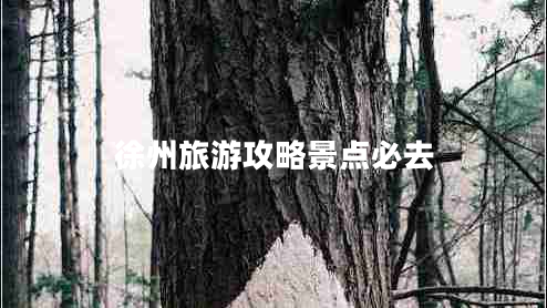 徐州旅游攻略景點必去