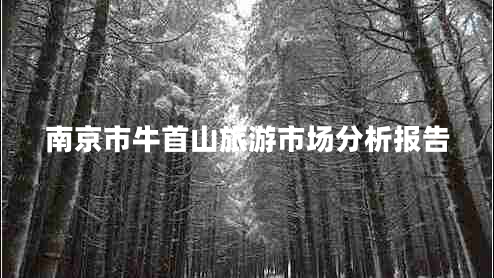 南京市牛首山旅游市場分析報告