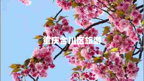 重慶合川區(qū)旅游