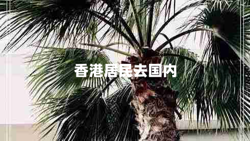 香港居民去國內(nèi)