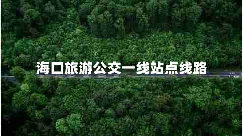 ?？诼糜喂灰痪€站點(diǎn)線路