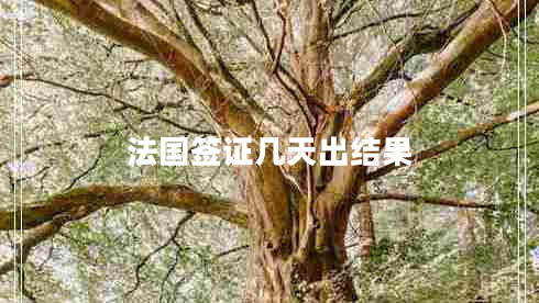 法國簽證幾天出結(jié)果