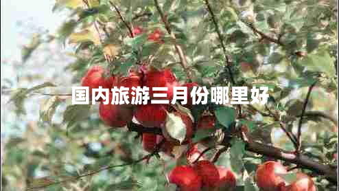 國(guó)內(nèi)旅游三月份哪里好