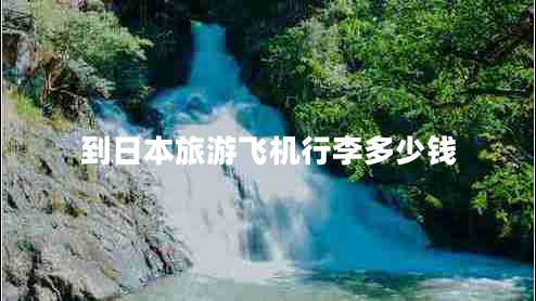 到日本旅游飛機(jī)行李多少錢(qián)