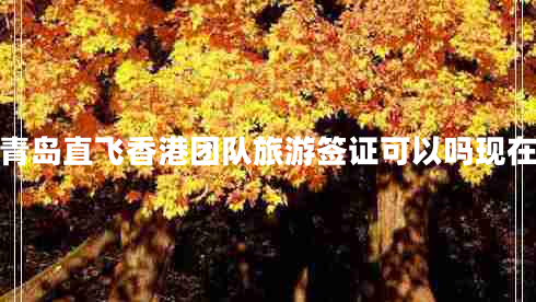 青島直飛香港團(tuán)隊(duì)旅游簽證可以嗎現(xiàn)在