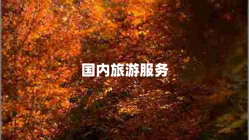 國內(nèi)旅游服務(wù)
